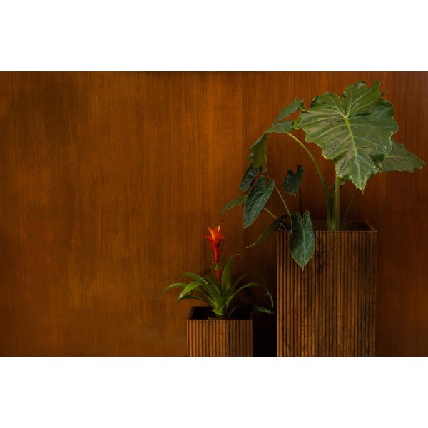 Lesena stojala za cvetlične lonce v kompletu 2 ks (višina 80 cm) Ribble – Dutchbone-image-3