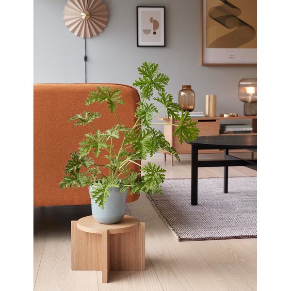 Bež stenska svetilka z vtikačem ø 48 cm Pliss – Hübsch-image-1