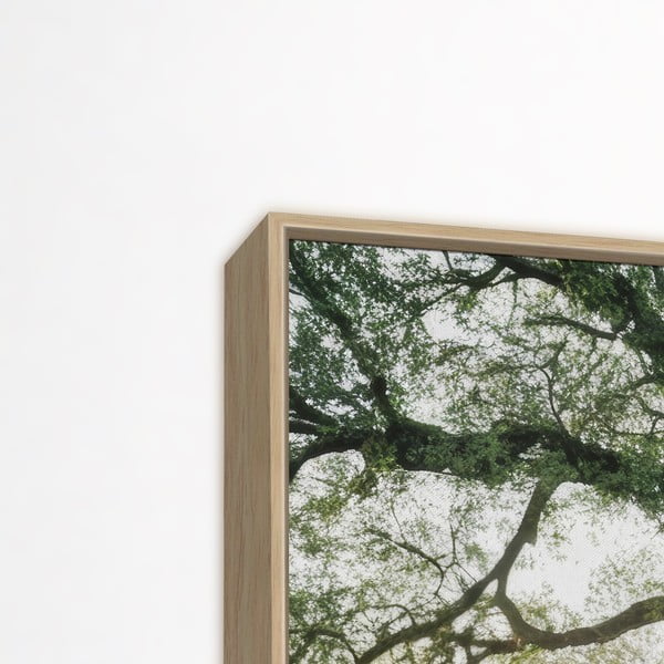 Slika 150x60 cm Tree in the Sun-image-3