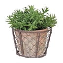 Žična košara z lončkom za rastline iz terakote Esschert Design