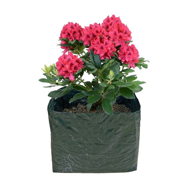 Visoka greda – Garden Pleasure