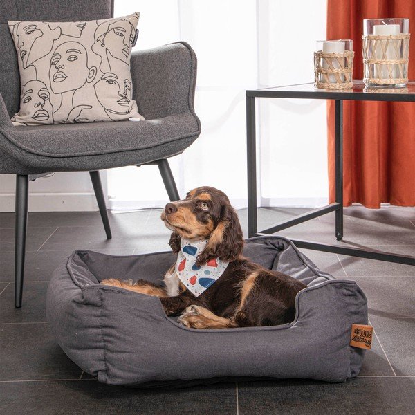 Modra postelja za pse 50x55 cm – Love Story-image-1