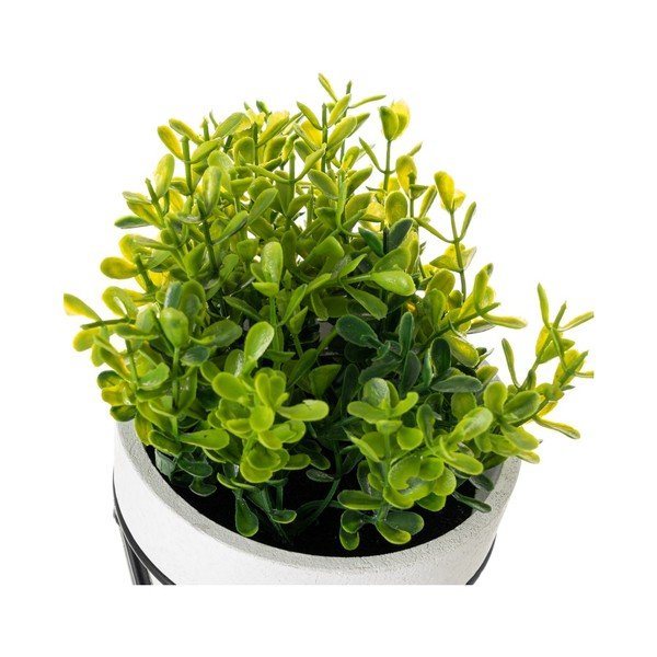 Umetne rastline v kompletu 4 ks – Casa Selección-image-3