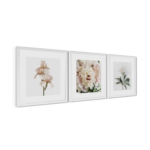 Tiskane slike v kompletu 3 ks z okvirjem 30x30 cm Posy – Styler-image-4