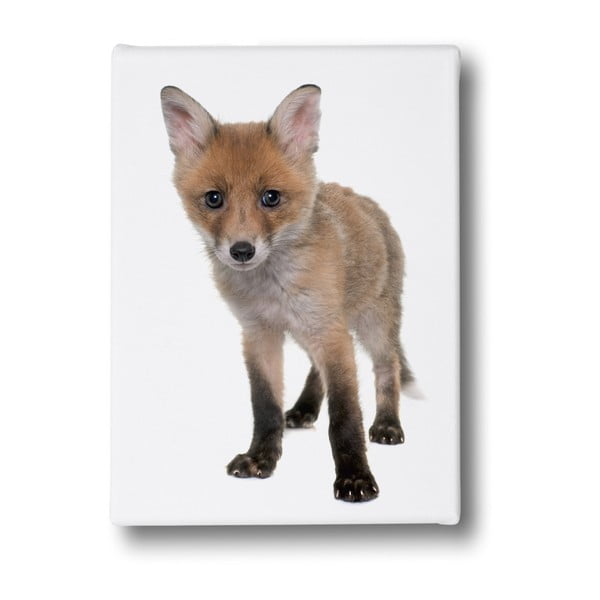 Slika gospoda Little Fox Little Fox