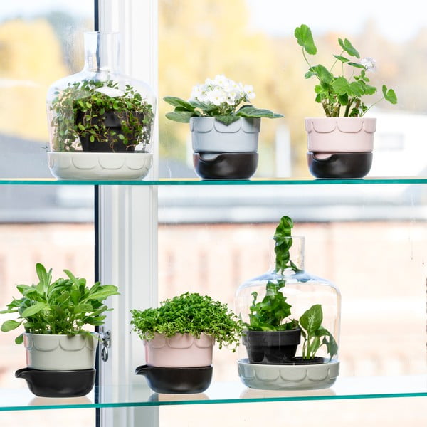 Porcelanski lonec s posodo za zalivanje Sagaform-image-2