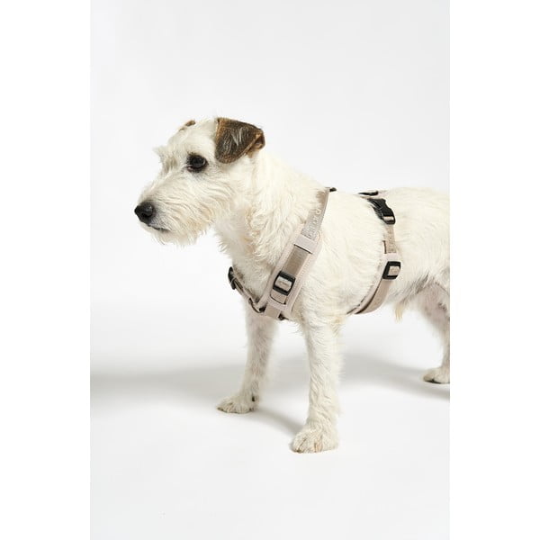 Bež oprsnica velikosti L dolžina 42 cm Modena Greige L – MiaCara-image-4