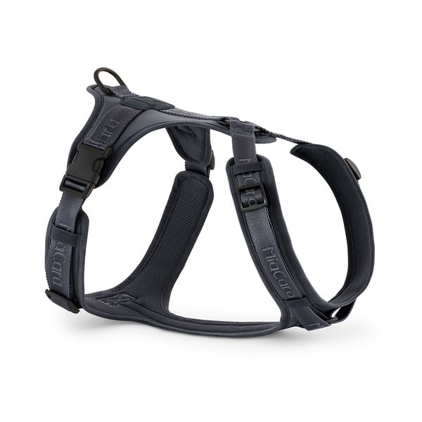 Temno siva oprsnica velikosti L dolžina 42 cm Modena Asphalt L – MiaCara