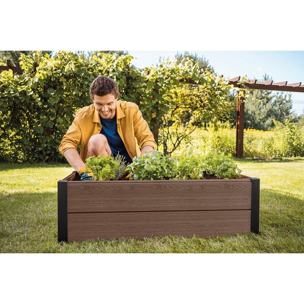 Visoka greda Maple – Keter-image-1