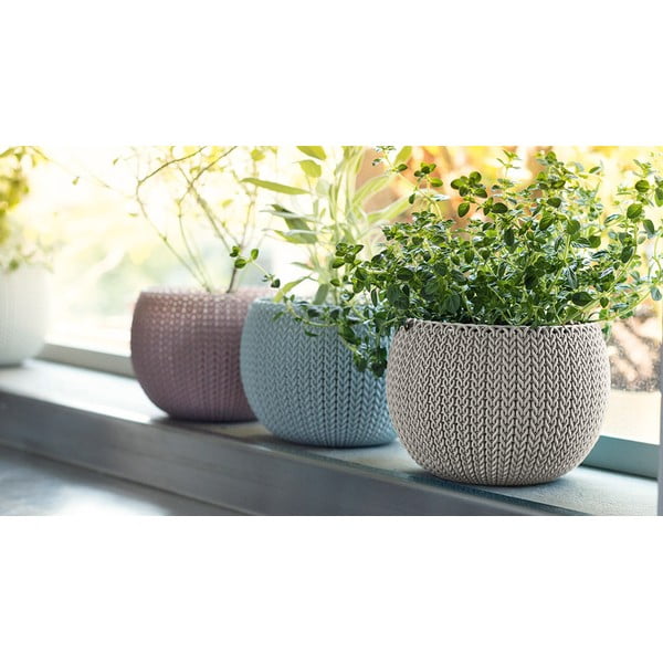 Plastični cvetlični lonci v kompletu 3 ks ø 15 cm Cozy – Keter-image-1