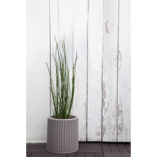 Plastičen cvetlični lonec ø 28 cm Cylinder – Keter-image-1
