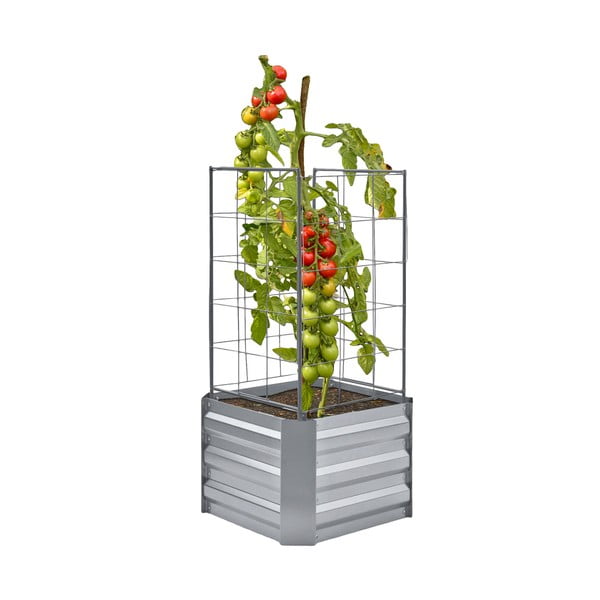 Visoka greda Dahlia – Garden Pleasure-image-2