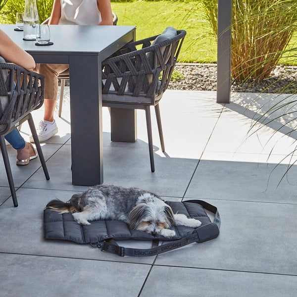 Temno sivo potovalno ležišče za pse 70x100 cm Strada Asphalt M – MiaCara-image-2