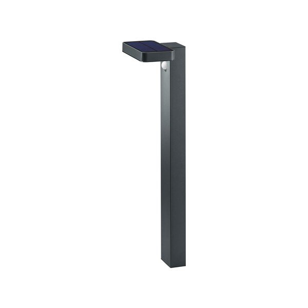 LED zunanja svetilka s senzorjem gibanja (višina 60 cm) Esquel – Reality
