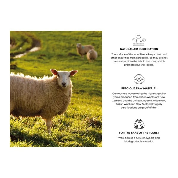 Svetlo siva volnena preproga 160x240 cm Talwin – Agnella-image-4