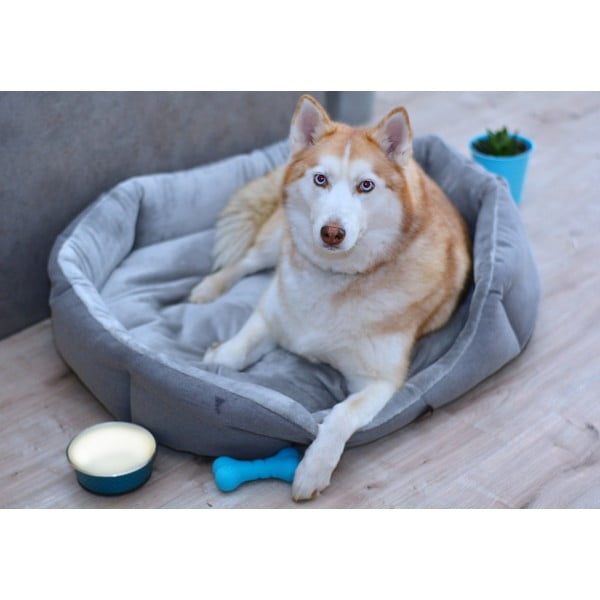 Siva flis postelja 90x70 cm Alík - Petsy-image-1