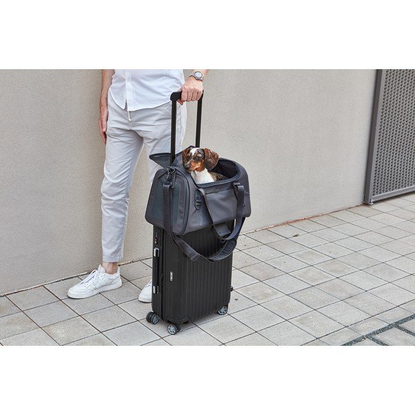 Torba za prenašanje za pse 28x55 cm Volata Asphalt S/M – MiaCara-image-2