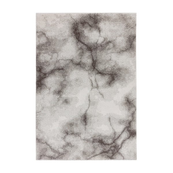 Siva preproga 200x290 cm Dream – Asiatic Carpets