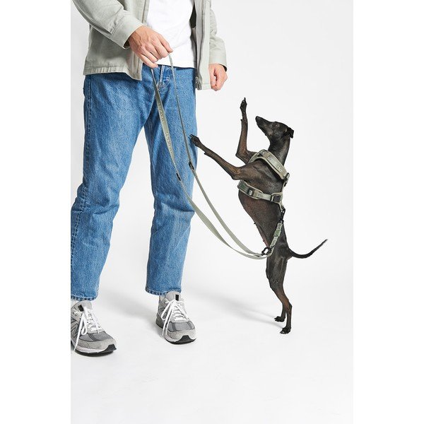 Zelena oprsnica velikosti XS dolžina 25 cm Modena Grolive XS – MiaCara-image-2