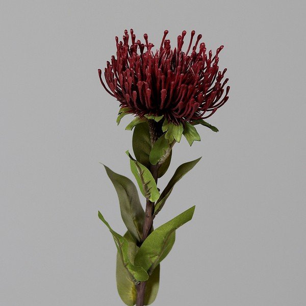 Umetna rastlina (višina 74 cm) Protea – Ego Dekor