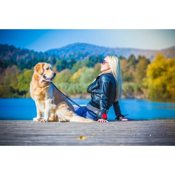 Zelen povodec velikosti L 3 Neon – Lishinu-image-4