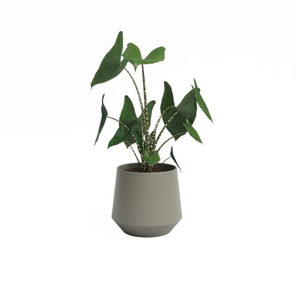 Keramičen cvetlični lonec ø 20 cm Aurora – Artevasi-image-2