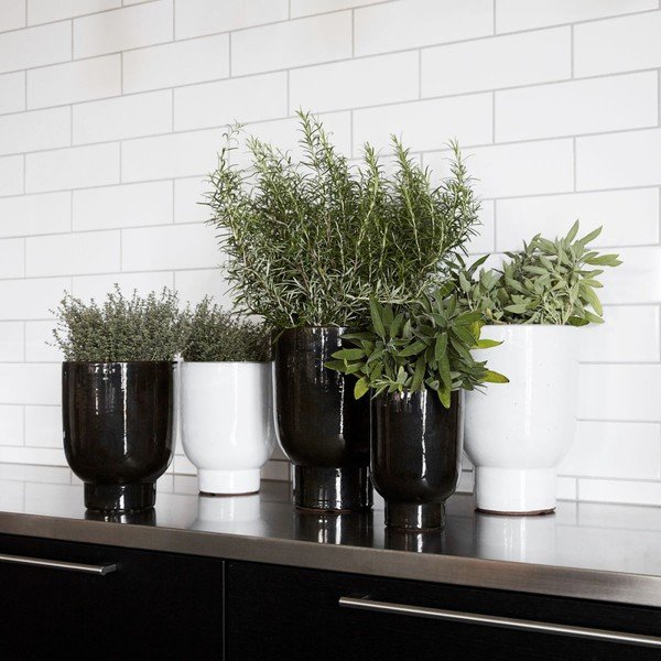 Črna hiša Zdravnik Greenpoints Pot-image-1