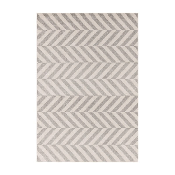 Svetlo siva preproga 120x170 cm Muse – Asiatic Carpets