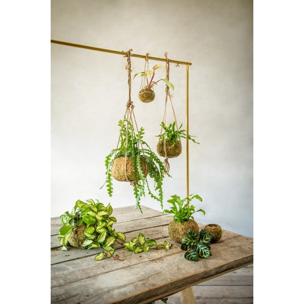 Cvetlični lonec ø 20 cm Kokedama – Esschert Design-image-2