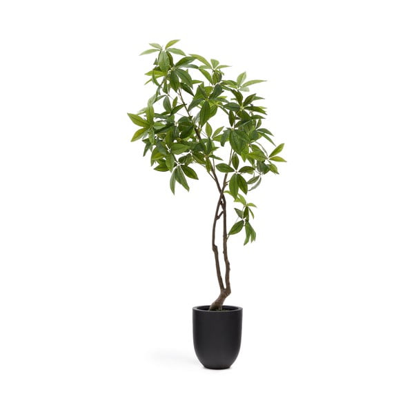 Umetna rastlina (višina 180 cm) Pachira – Kave Home