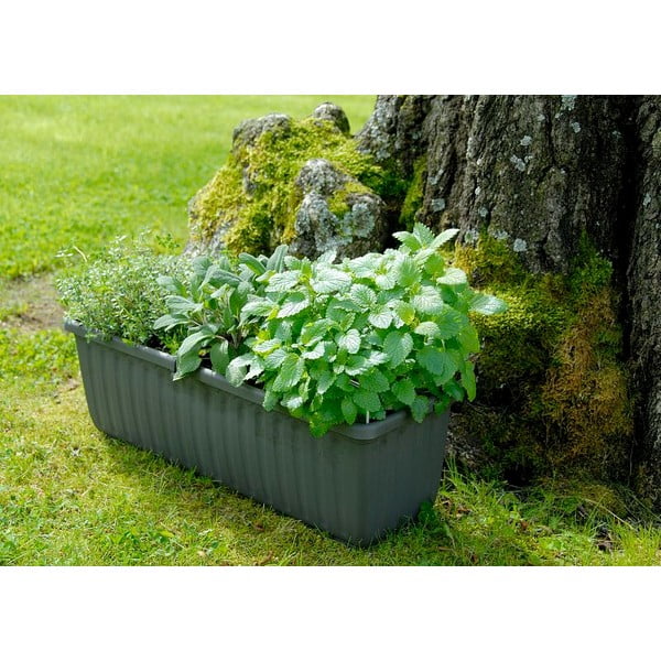 Antracitno sivo samozalivalno cvetlično korito Plastia Siesta, dolžina 80 cm-image-1