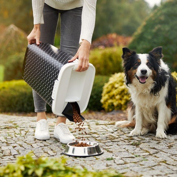 Črna škatla za brikete 25 l Cody - Rotho-image-2