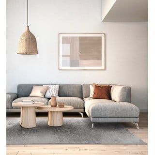 Siva volnena preproga 133x190 cm Tizo – Agnella