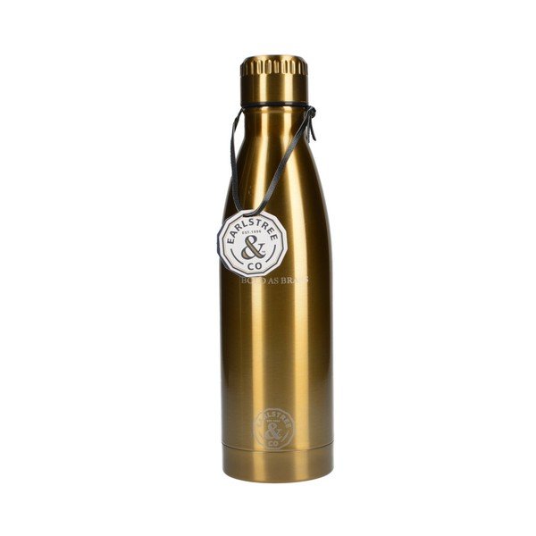 Potovalna steklenica iz nerjavečega jekla Creative Tops Earlstree, 550 ml-image-1