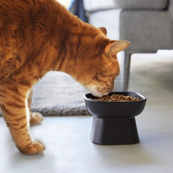 Keramična posoda za hrano za hišne ljubljenčke Tower – YAMAZAKI-image-1