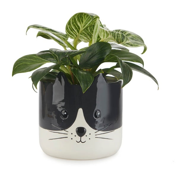 Keramičen cvetlični lonec ø 13,5 cm Kitty – Balvi-image-1