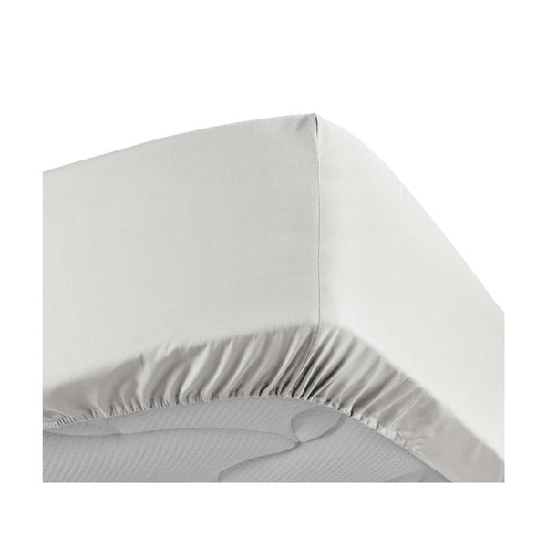 Bela napenjalna rjuha iz bombažnega perkala 180x200 cm Percaline – douceur d'intérieur-image-3