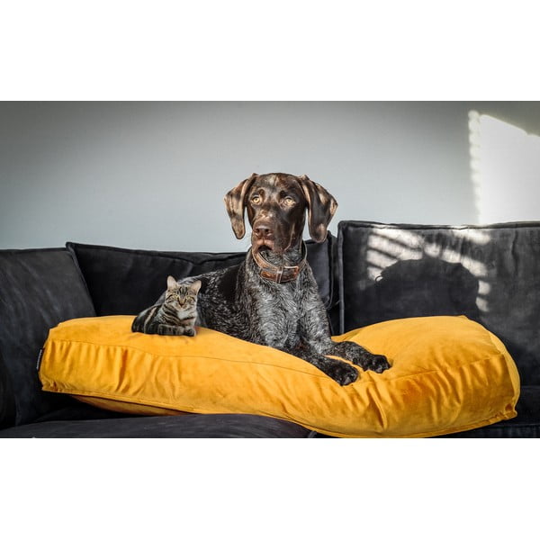 Rumeno ležišče za pse 80x55 cm – Madison-image-1