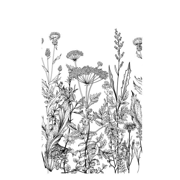 Stenske črno-bele tapete cvetoči travniki Dekornik