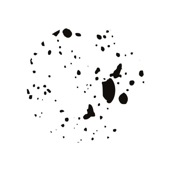 Črno-bel predalnik z 2 predali Bigso Box of Sweden Birger-image-4