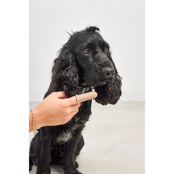 Zobne ščetke za hišne ljubljenčke v kompletu Dito – MiaCara-image-2