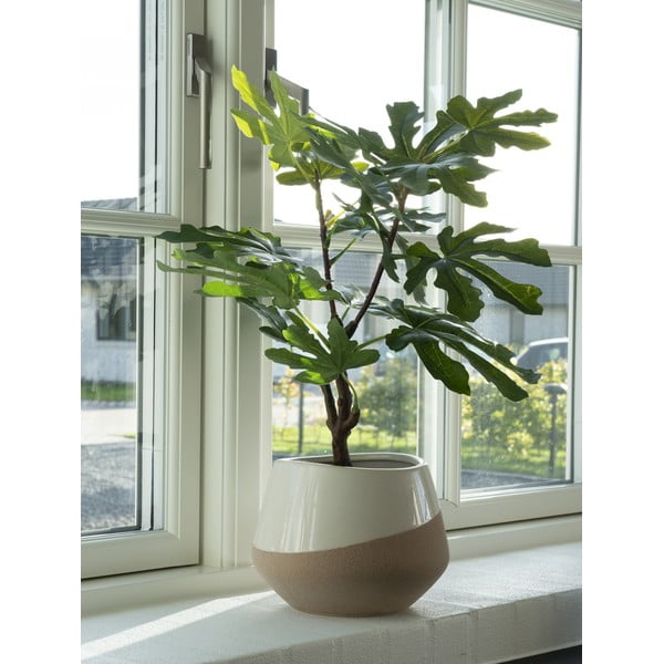 Umetna rastlina (višina 60 cm) Fig – House Nordic-image-1