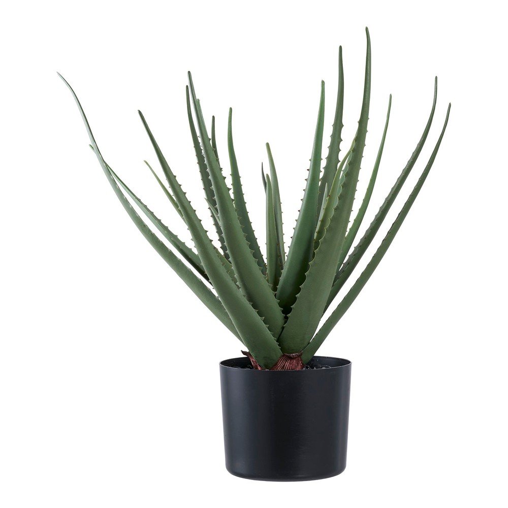 Umetna rastlina (višina 51 cm) Aloe Vera