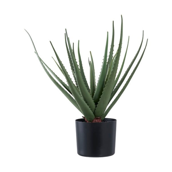Umetna rastlina (višina 51 cm) Aloe Vera – House Nordic