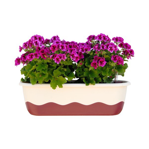 Belo-rožnat samozalivalni cvetlični lonček Plastia Mareta, dolžina 80 cm-image-1