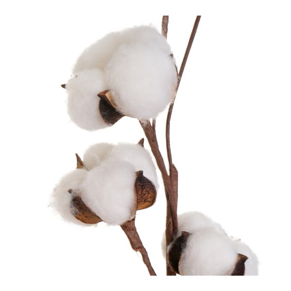 Sušena rastlina (višina 55 cm) Cotton – Casa Selección-image-1