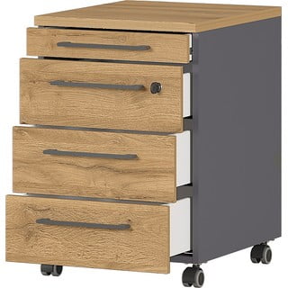 Antracitno siva omara v hrastovem dekorju 42x61 cm Agenda - Germania