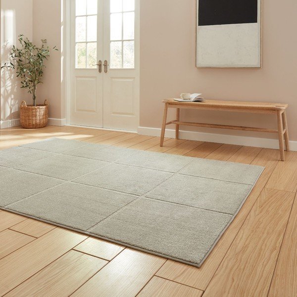 Svetlo siva preproga 120x170 cm Elio Silver – Think Rugs-image-2