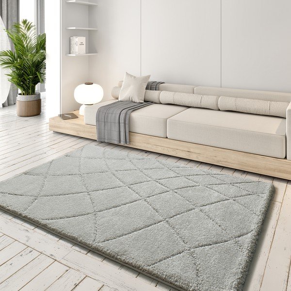 Svetlo siva preproga 60x120 cm Molier – Universal-image-1