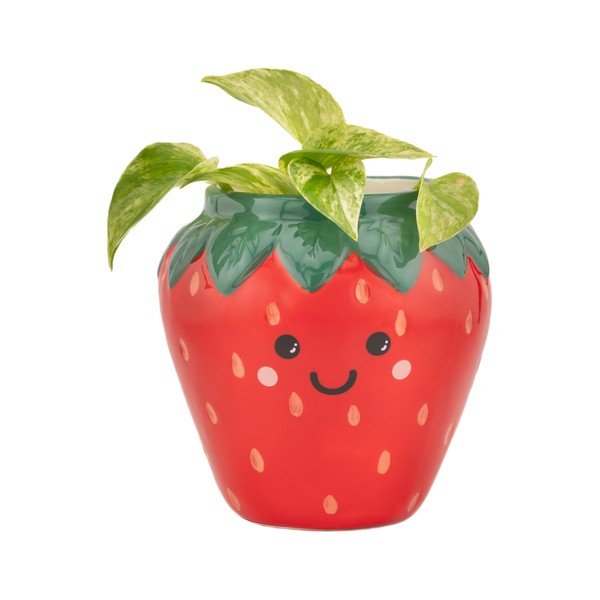 Keramičen okrasni cvetlični lonec ø 10 cm Strawberry – Sass & Belle-image-1